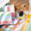 Heating & Plumbing Picknick-Set (Regenbogen) – Bild 2