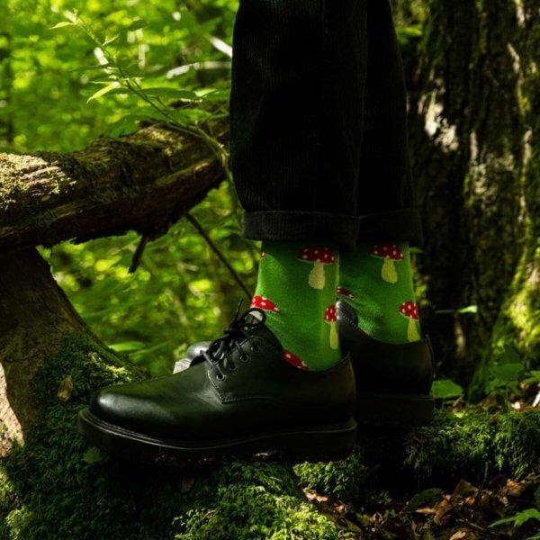 ROTHIRSCH francisetsonami socken amanita 02